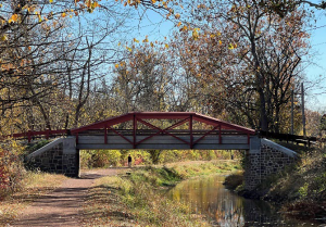 Tebola-Beans Bridge