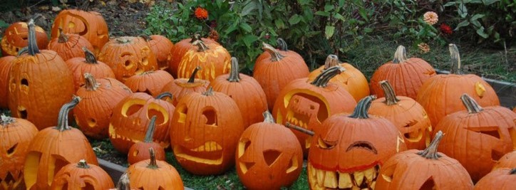 Carvey pumpkin display in Yardley PA